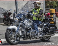 TSR Watermark - 0593